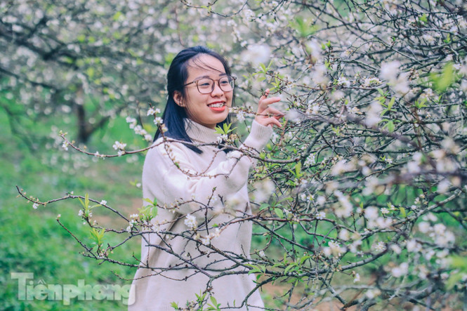 Mê mẩn mùa hoa mận nở trắng trời Mộc Châu ảnh 12