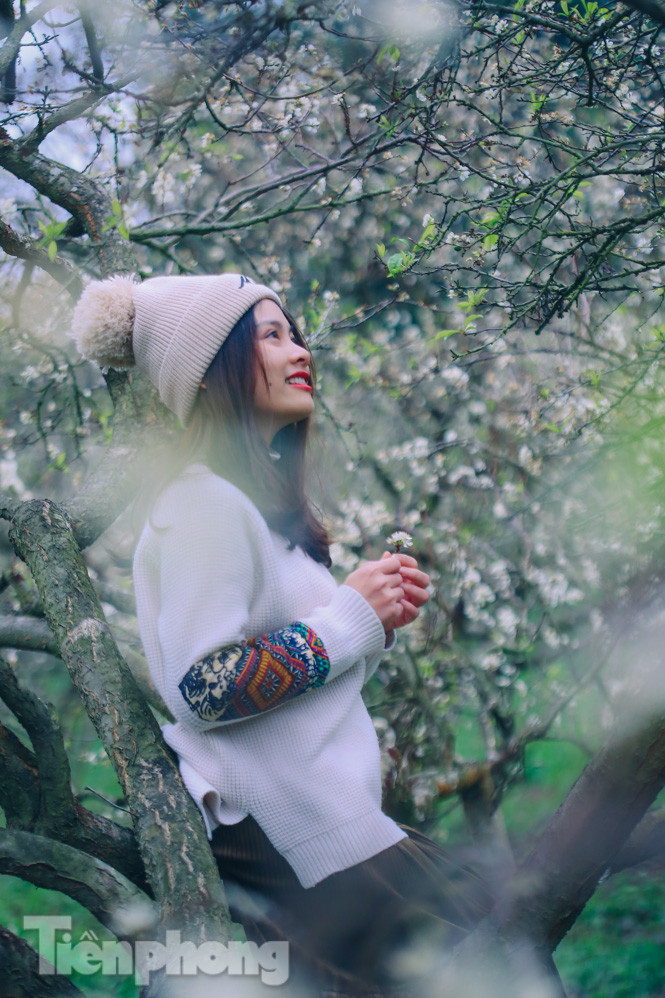 Mê mẩn mùa hoa mận nở trắng trời Mộc Châu ảnh 14