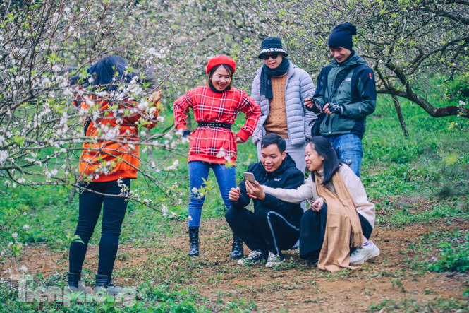 Mê mẩn mùa hoa mận nở trắng trời Mộc Châu ảnh 15