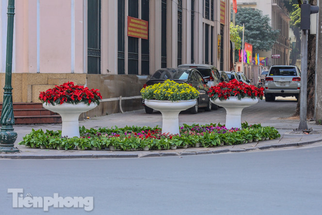 Hà Nội rực rỡ hoa chào mừng Đại hội Đảng lần thứ XIII ảnh 19