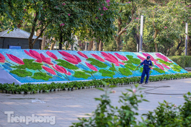 Hà Nội rực rỡ hoa chào mừng Đại hội Đảng lần thứ XIII ảnh 12