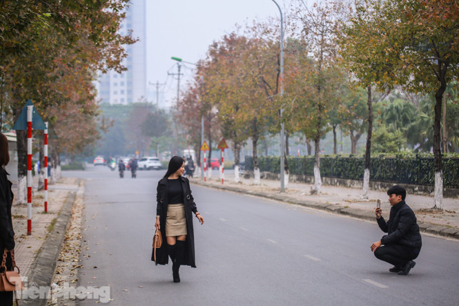 Đẹp ngỡ ngàng với hàng phong thay lá đỏ giữa Hà Nội ảnh 3