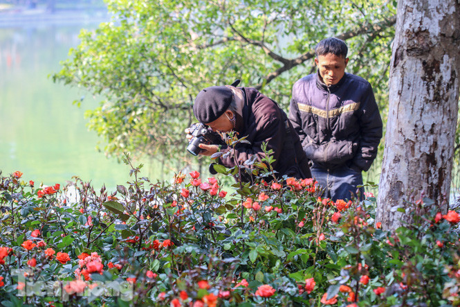 Hà Nội rực rỡ hoa chào mừng Đại hội Đảng lần thứ XIII ảnh 5