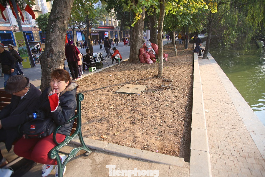 Thảm hoa hồ Hoàn Kiếm 'nát bươm' sau giao thừa và Tết Dương lịch ảnh 2