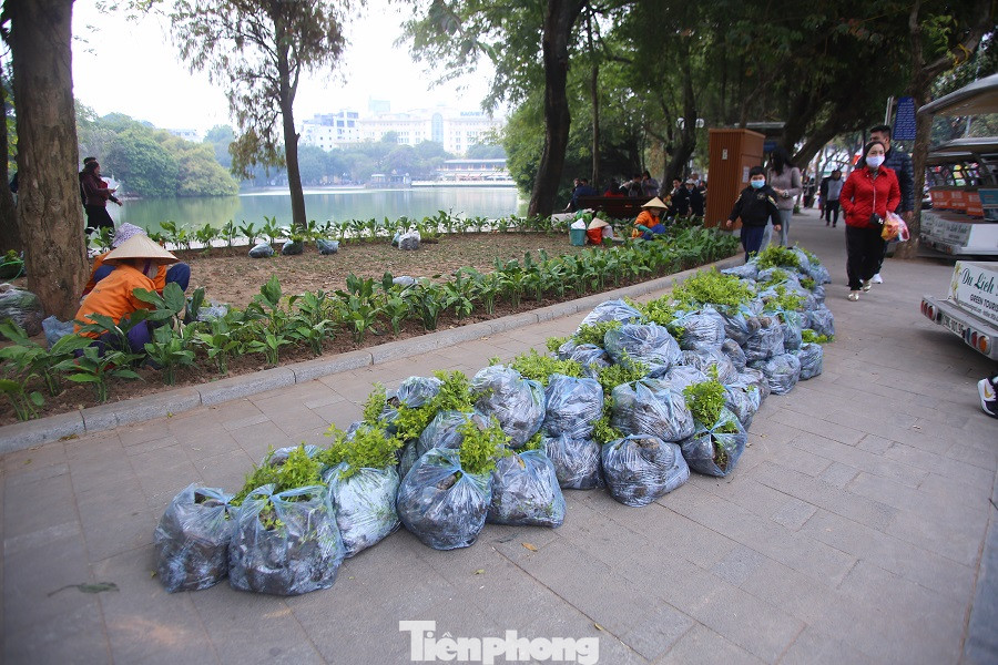Thảm hoa hồ Hoàn Kiếm 'nát bươm' sau giao thừa và Tết Dương lịch ảnh 20