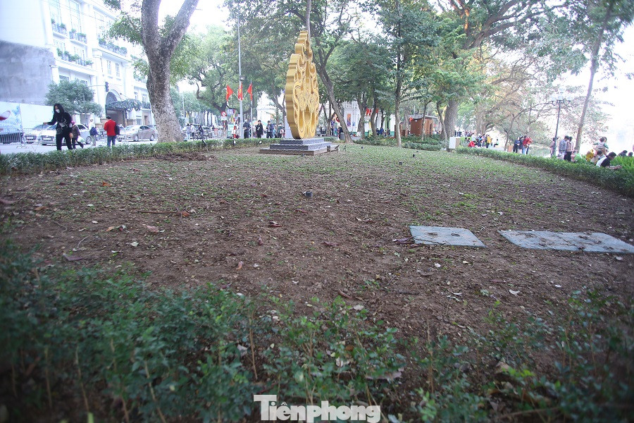 Thảm hoa hồ Hoàn Kiếm 'nát bươm' sau giao thừa và Tết Dương lịch ảnh 6