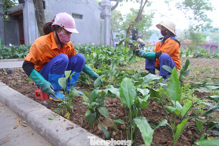 Thảm hoa hồ Hoàn Kiếm 'nát bươm' sau giao thừa và Tết Dương lịch ảnh 18