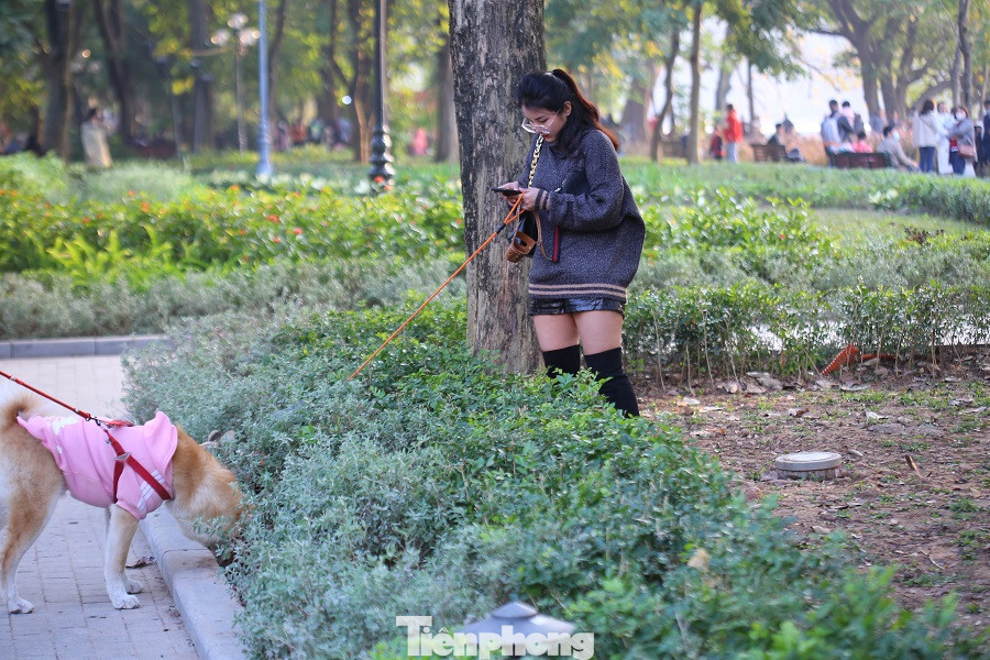 Thảm hoa hồ Hoàn Kiếm 'nát bươm' sau giao thừa và Tết Dương lịch ảnh 13
