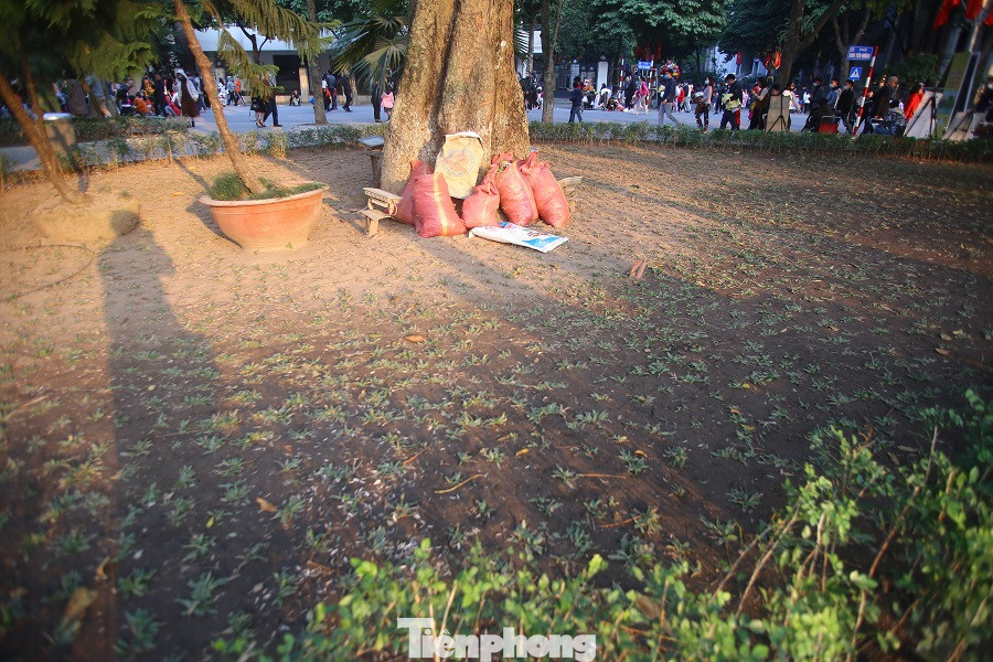 Thảm hoa hồ Hoàn Kiếm 'nát bươm' sau giao thừa và Tết Dương lịch ảnh 17