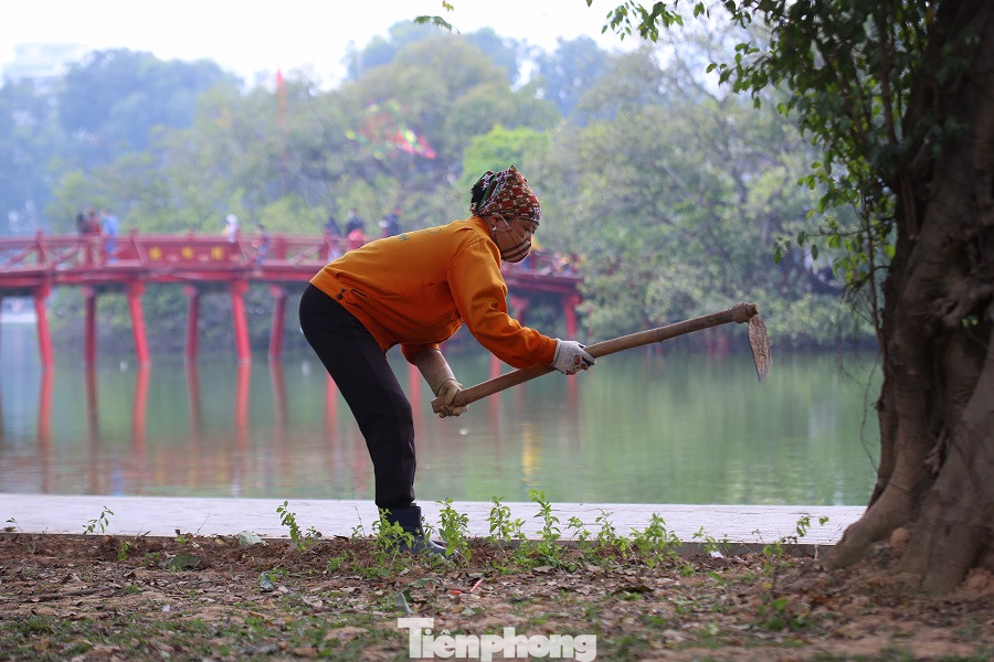 Thảm hoa hồ Hoàn Kiếm 'nát bươm' sau giao thừa và Tết Dương lịch ảnh 21
