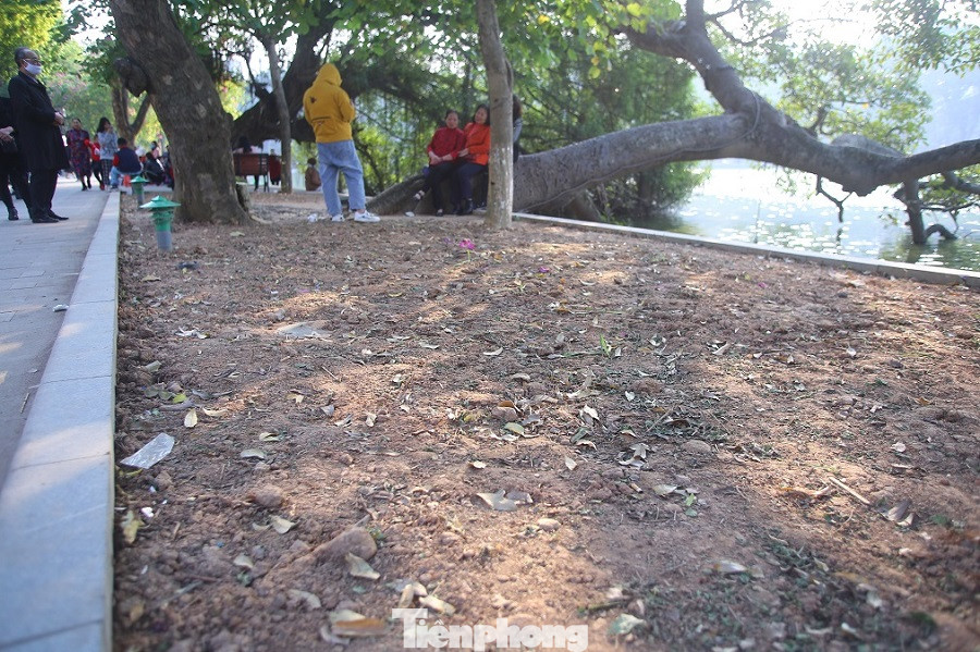 Thảm hoa hồ Hoàn Kiếm 'nát bươm' sau giao thừa và Tết Dương lịch ảnh 3