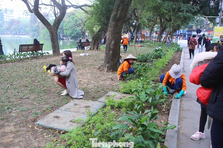 Thảm hoa hồ Hoàn Kiếm 'nát bươm' sau giao thừa và Tết Dương lịch ảnh 19