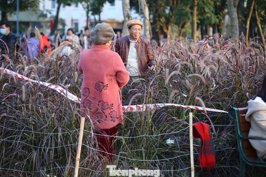 Thảm hoa hồ Hoàn Kiếm 'nát bươm' sau giao thừa và Tết Dương lịch ảnh 15