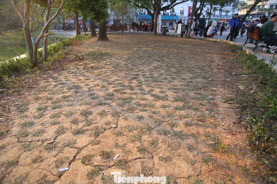 Thảm hoa hồ Hoàn Kiếm 'nát bươm' sau giao thừa và Tết Dương lịch ảnh 9