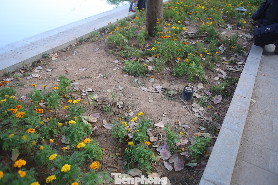 Thảm hoa hồ Hoàn Kiếm 'nát bươm' sau giao thừa và Tết Dương lịch ảnh 7