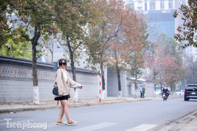 Đẹp ngỡ ngàng với hàng phong thay lá đỏ giữa Hà Nội ảnh 14