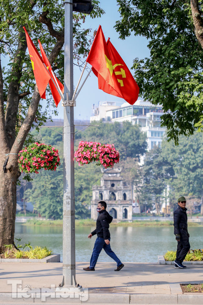 Hà Nội rực rỡ hoa chào mừng Đại hội Đảng lần thứ XIII ảnh 9