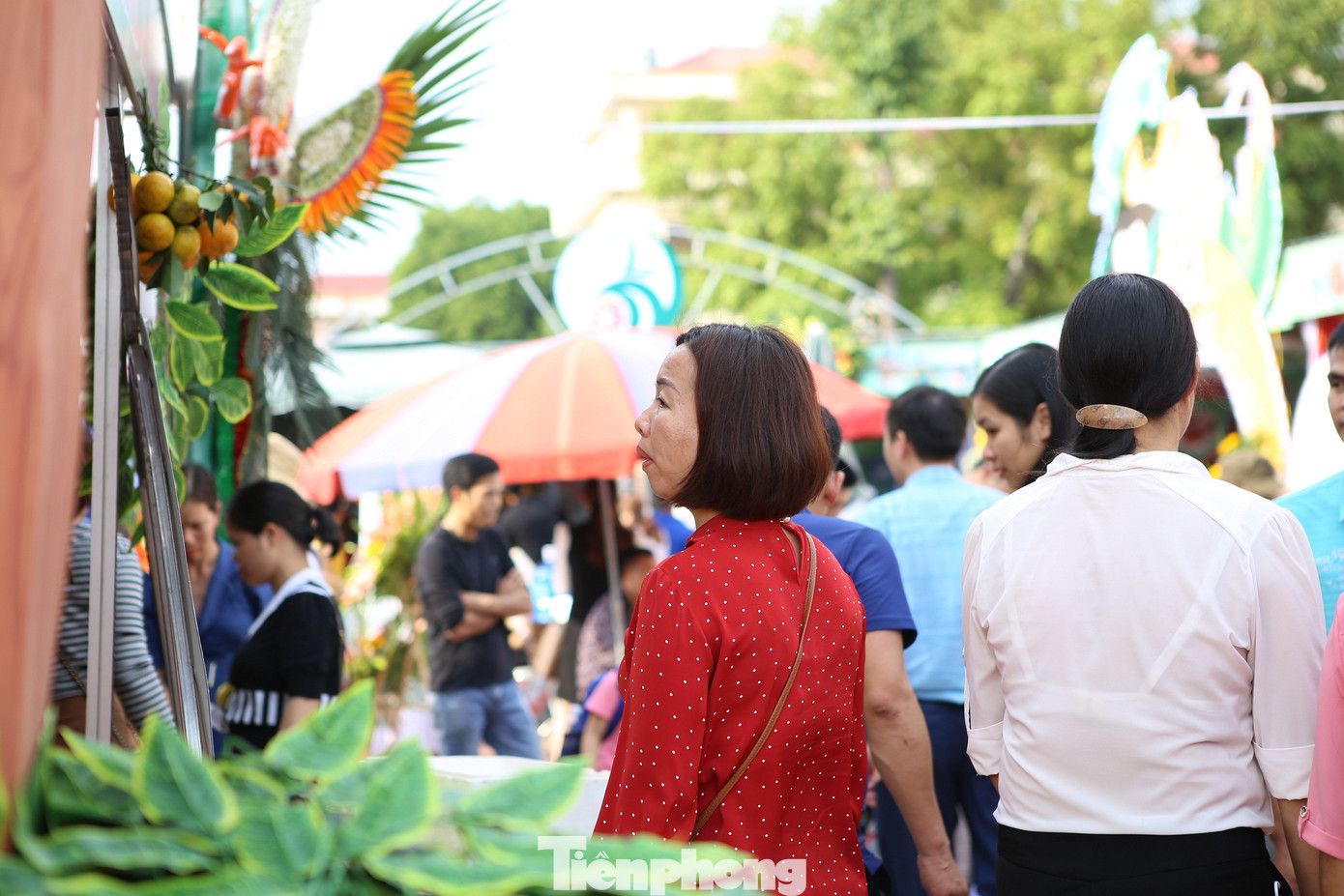 Đặc sắc hội chợ cam, bưởi ở Bắc Giang ảnh 5