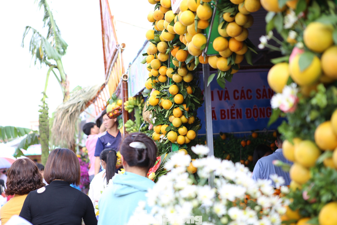 Đặc sắc hội chợ cam, bưởi ở Bắc Giang ảnh 4