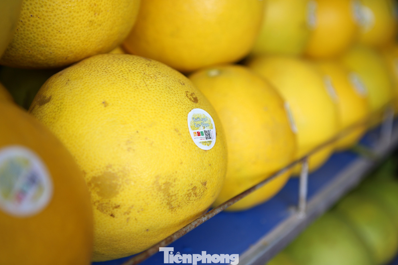 Đặc sắc hội chợ cam, bưởi ở Bắc Giang ảnh 3