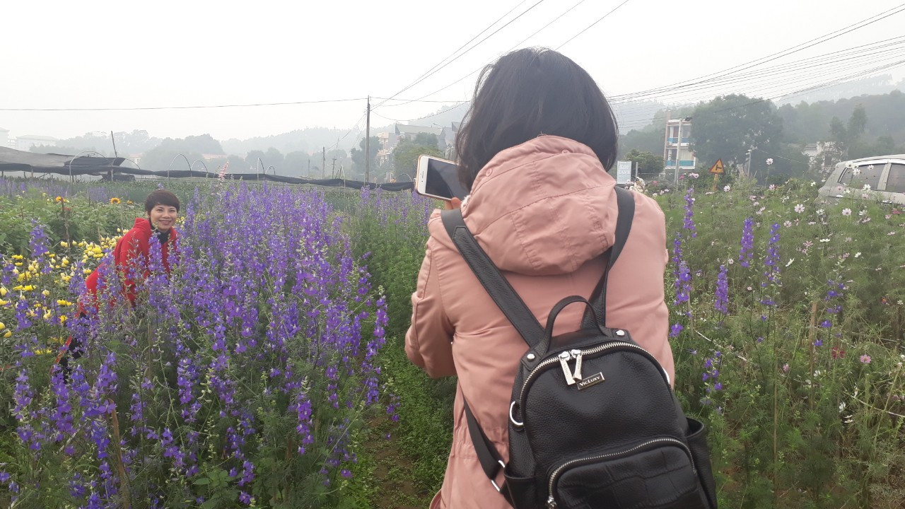 Bên trong vựa hoa lớn nhất Bắc Giang ngày giáp Tết ảnh 11