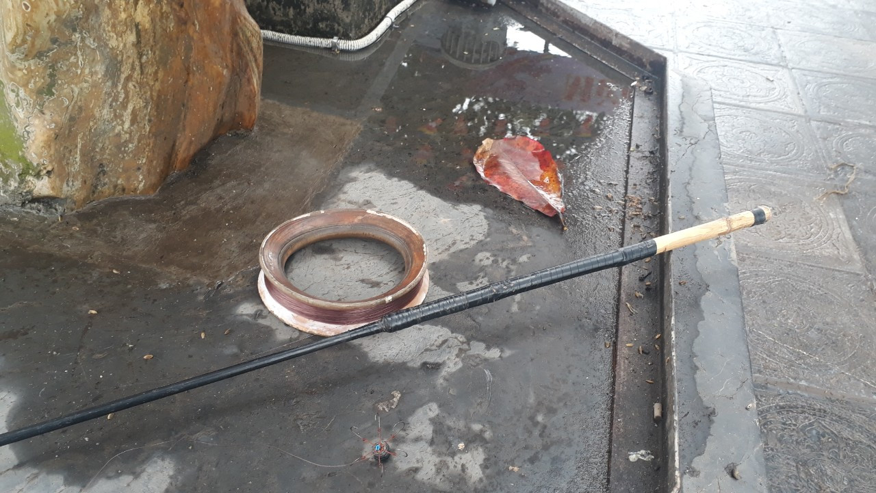 Tái diễn cảnh vợt rùa, bắt cá vừa phóng sinh ở chùa Trấn Quốc ảnh 3