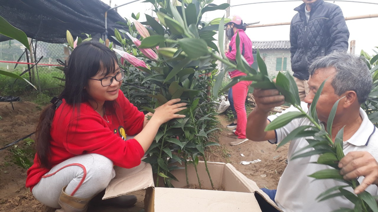 Bên trong vựa hoa lớn nhất Bắc Giang ngày giáp Tết ảnh 3