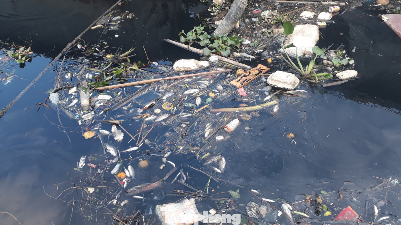 Đề nghị Bộ Tài nguyên và Môi trường giải quyết ô nhiễm nước sông Cầu ảnh 2