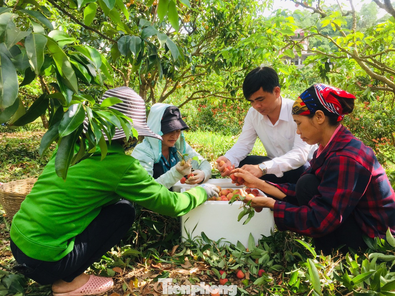 Đầu tư 3.000 tỷ đồng cho khoa học công nghệ ở nông thôn miền núi ảnh 2