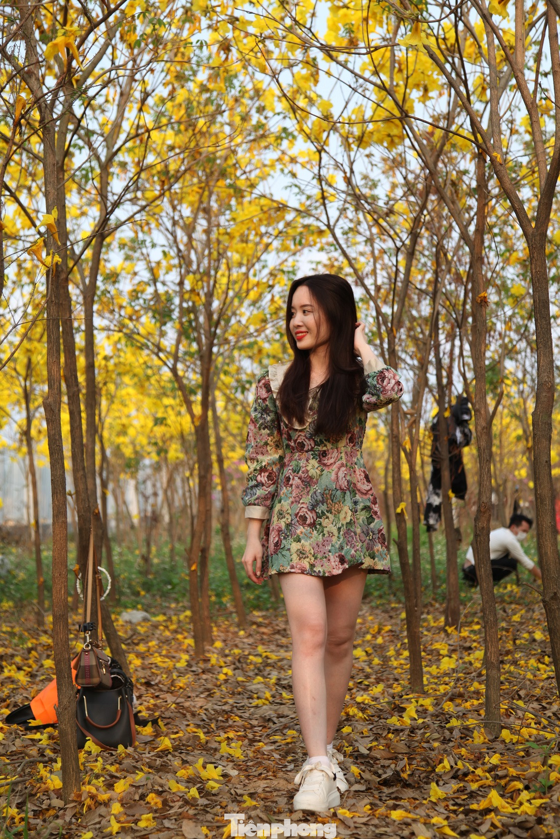 Nghìn người đổ về chiêm ngưỡng vườn hoa Phong Linh vàng rực rỡ ở Bắc Giang ảnh 5