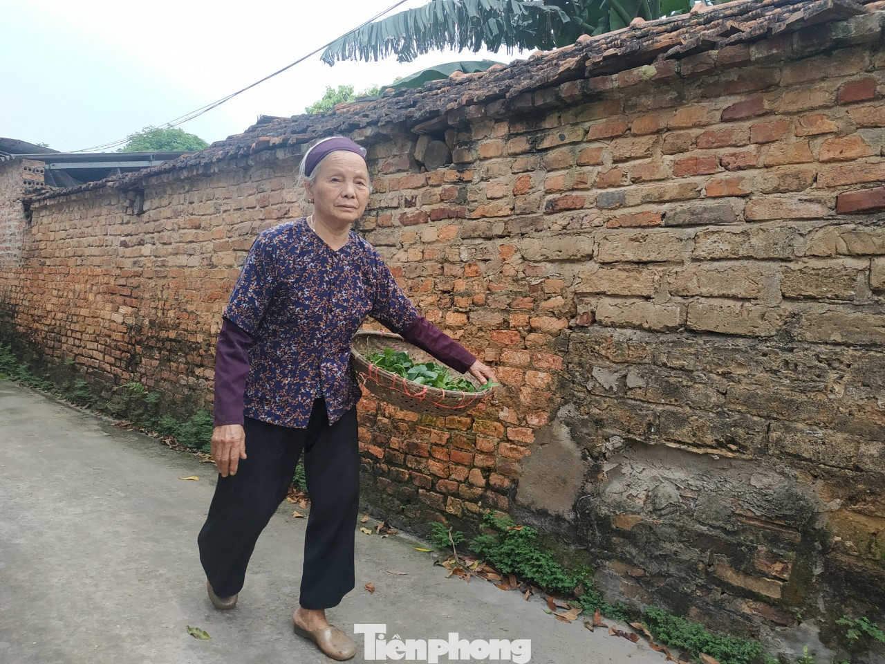 Cụ bà bán rau 79 tuổi ủng hộ tiền chống dịch COVID -19 ảnh 2