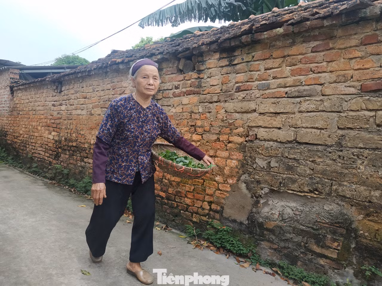 Cụ bà bán rau 79 tuổi ủng hộ tiền chống dịch COVID -19 ảnh 2