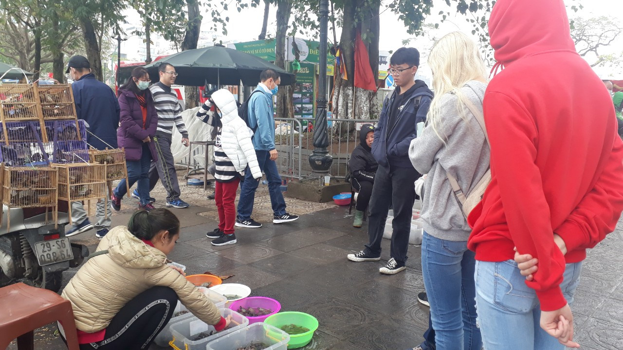 Tái diễn cảnh vợt rùa, bắt cá vừa phóng sinh ở chùa Trấn Quốc ảnh 8