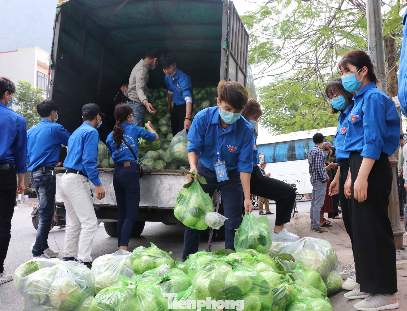Tuổi trẻ Bắc Ninh hỗ trợ 'giải cứu' nông sản cho bà con Hải Dương ảnh 1