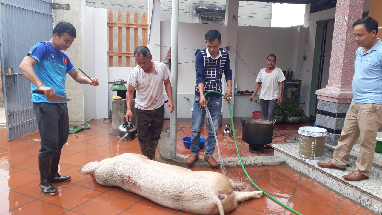 Giá tăng kỷ lục, người dân quê vẫn tưng bừng đụng lợn đón Tết ảnh 2