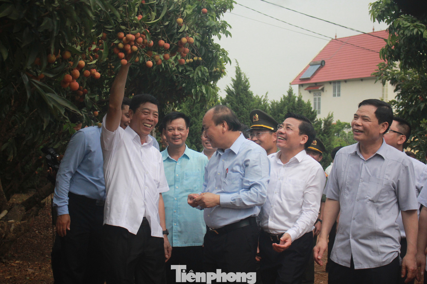 Thủ tướng dạo bước ở vựa vải thiều lớn nhất nước ảnh 3