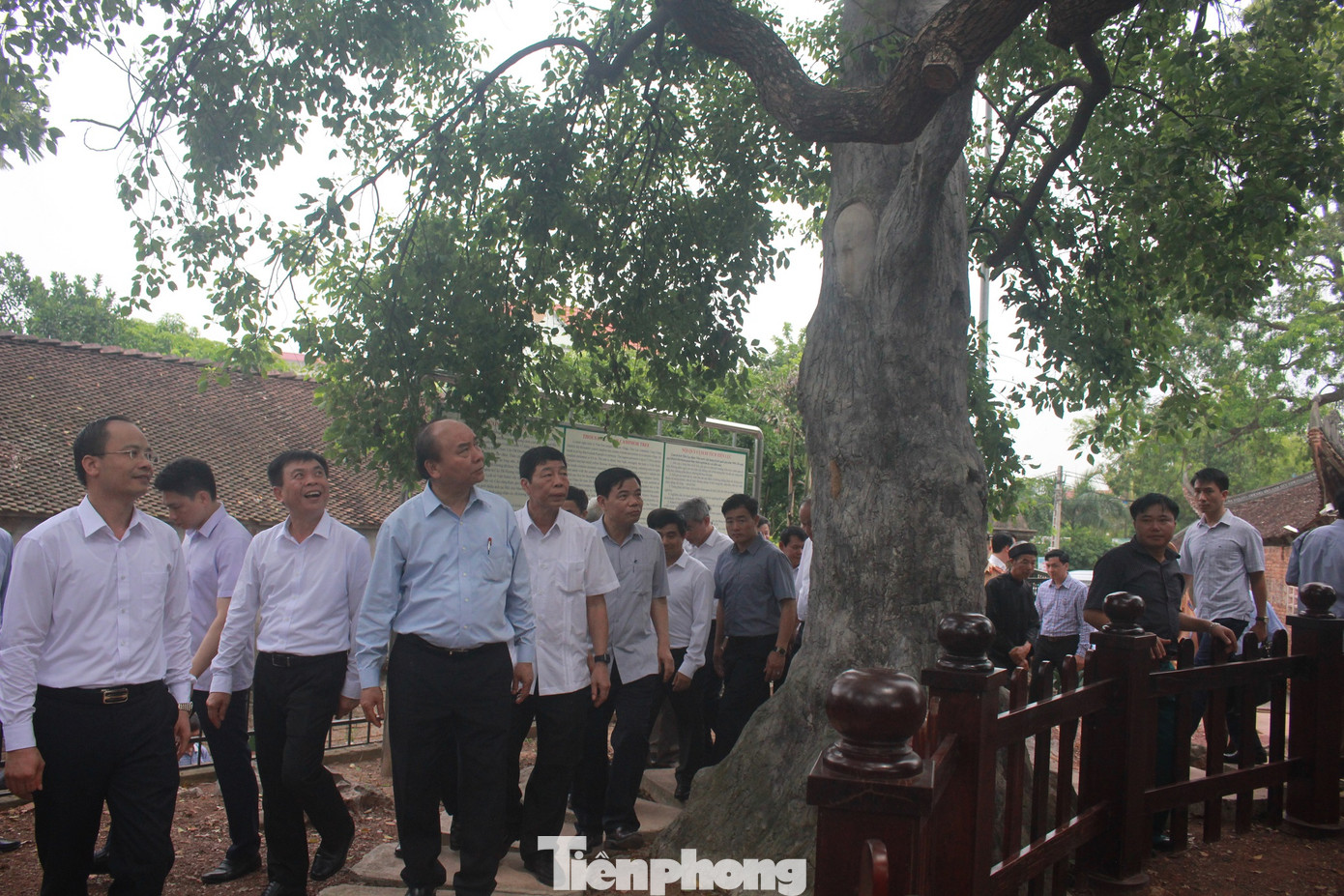 Thủ tướng dạo bước ở vựa vải thiều lớn nhất nước ảnh 4