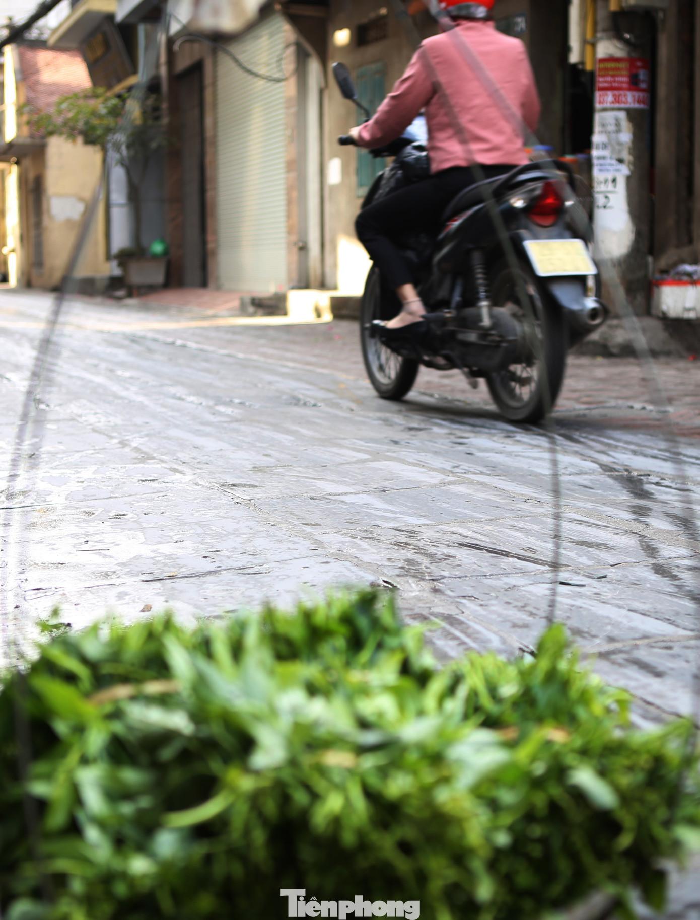 Đường làng lát đá ở Bắc Ninh gần trăm năm vẫn bền đẹp ảnh 7