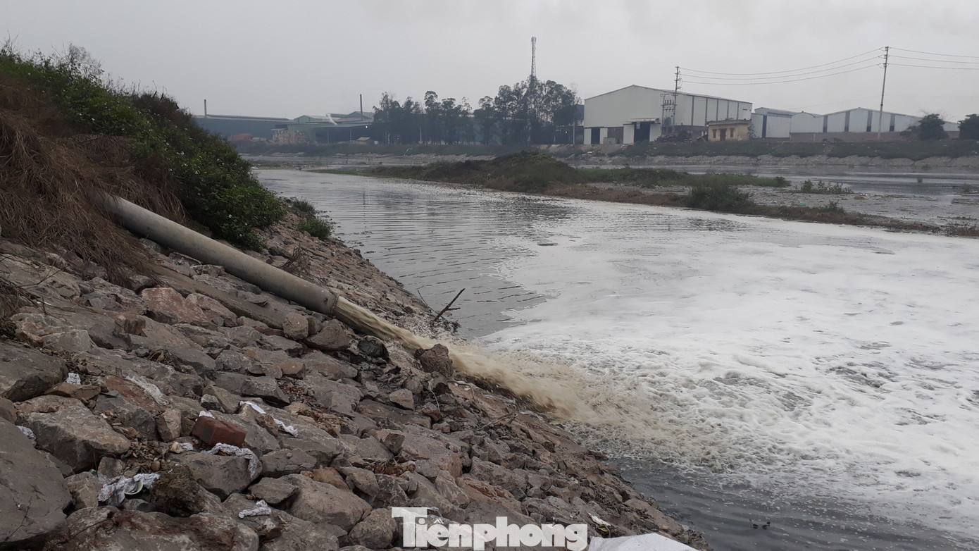 Yêu cầu xử lý tổ chức, cá nhân gây ô nhiễm nguồn nước sông Cầu ảnh 1