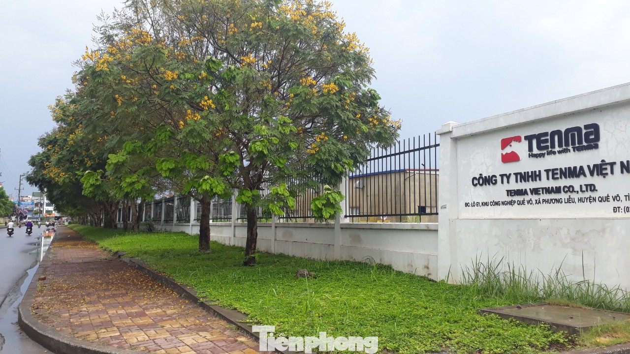 Công ty Tenma Việt Nam hoạt động ra sao sau nghi vấn hối lộ 5 tỷ đồng để tránh thuế? ảnh 6