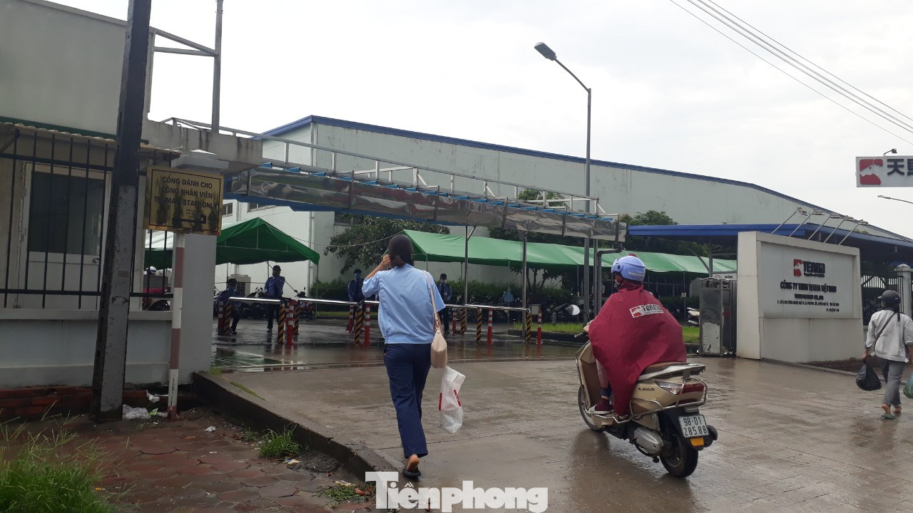 Công ty Tenma Việt Nam hoạt động ra sao sau nghi vấn hối lộ 5 tỷ đồng để tránh thuế? ảnh 4