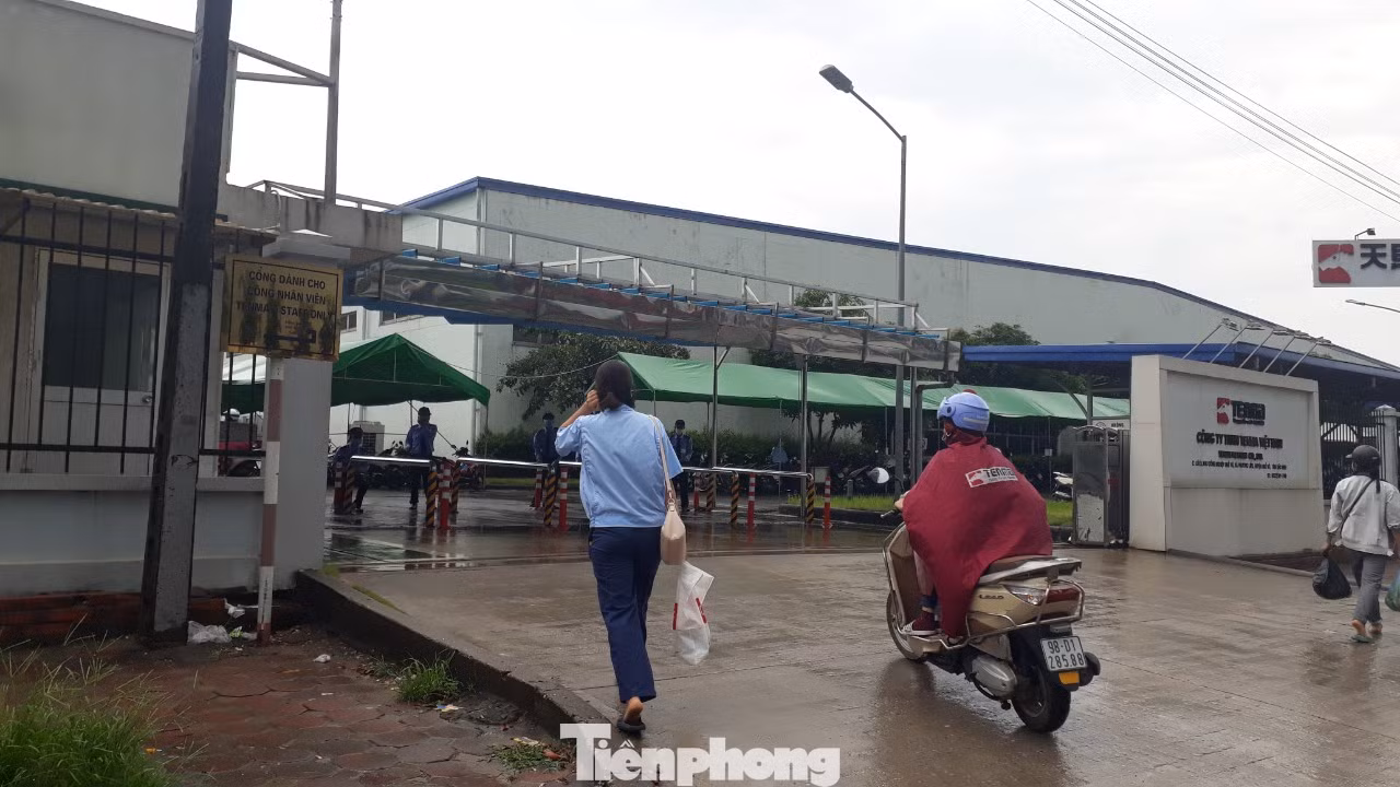 Công ty Tenma Việt Nam hoạt động ra sao sau nghi vấn hối lộ 5 tỷ đồng để tránh thuế? ảnh 4