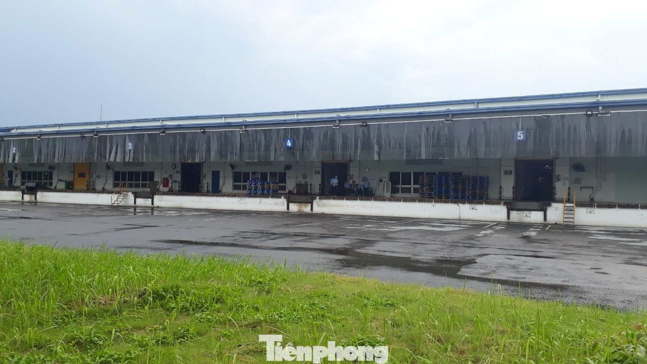 Công ty Tenma Việt Nam hoạt động ra sao sau nghi vấn hối lộ 5 tỷ đồng để tránh thuế? ảnh 5