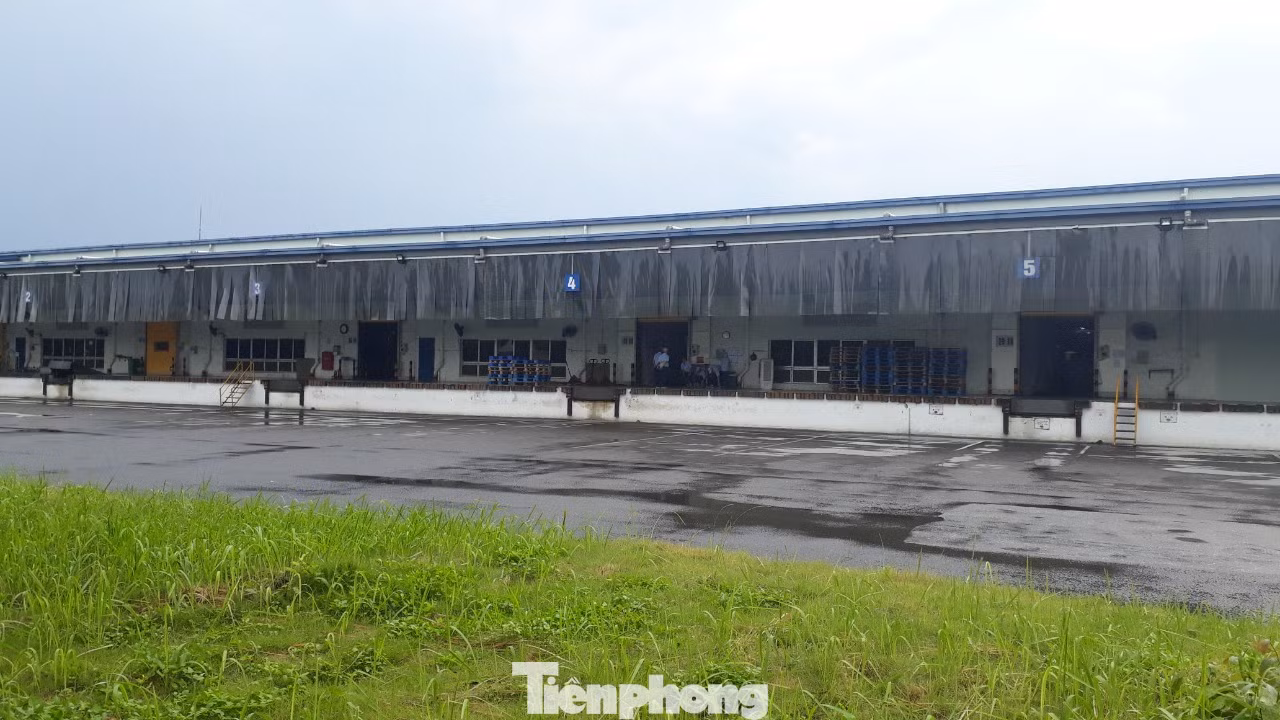 Công ty Tenma Việt Nam hoạt động ra sao sau nghi vấn hối lộ 5 tỷ đồng để tránh thuế? ảnh 5