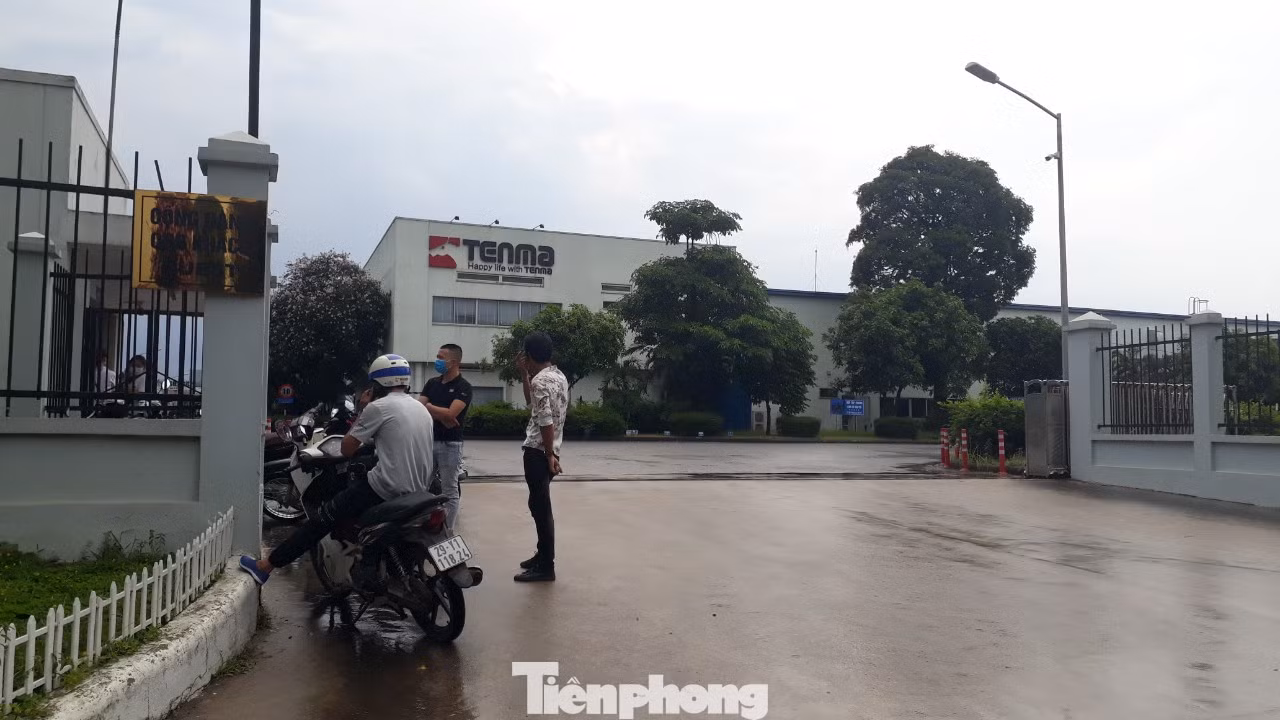 Công ty Tenma Việt Nam hoạt động ra sao sau nghi vấn hối lộ 5 tỷ đồng để tránh thuế? ảnh 7