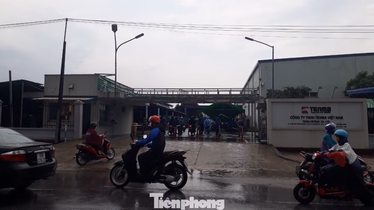 Công ty Tenma Việt Nam hoạt động ra sao sau nghi vấn hối lộ 5 tỷ đồng để tránh thuế? ảnh 3