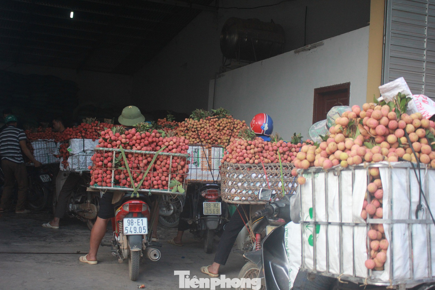 Vải thiều vào chính vụ, nông dân thu hoạch thâu đêm ảnh 8