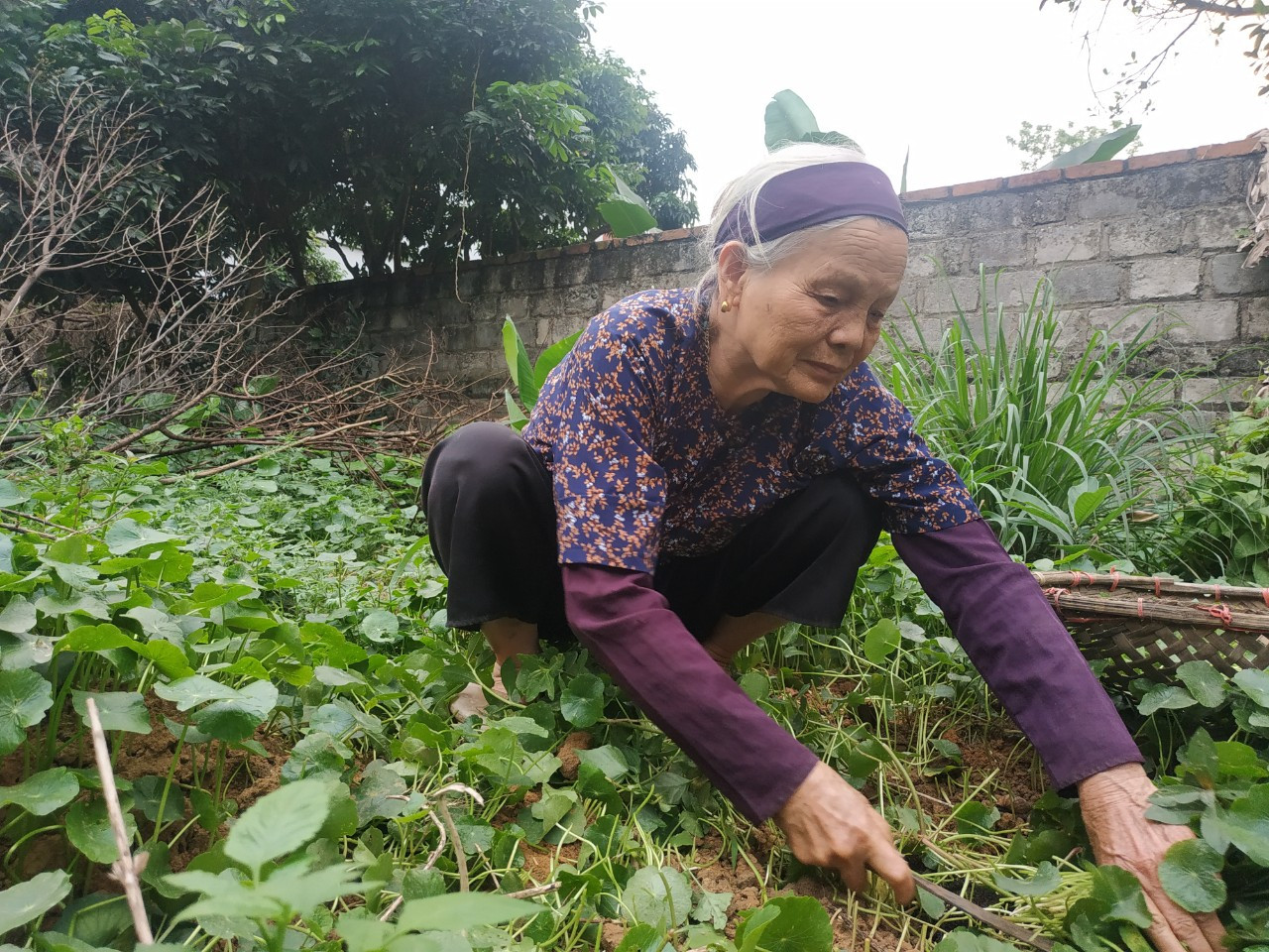 Vụ Thủy điện bỏ rơi dân trong khô hạn: Phải bồi thường cho dân ảnh 4 Vụ Thủy điện bỏ rơi dân trong khô hạn: Phải bồi thường cho dân ảnh 4