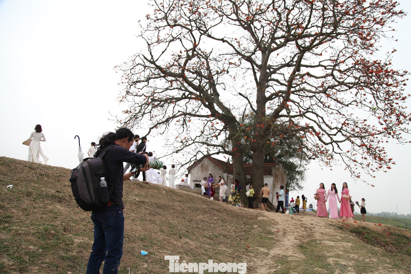 Dòng người tấp nập đổ về chiêm ngưỡng cây gạo cổ thụ ở Bắc Giang ảnh 10