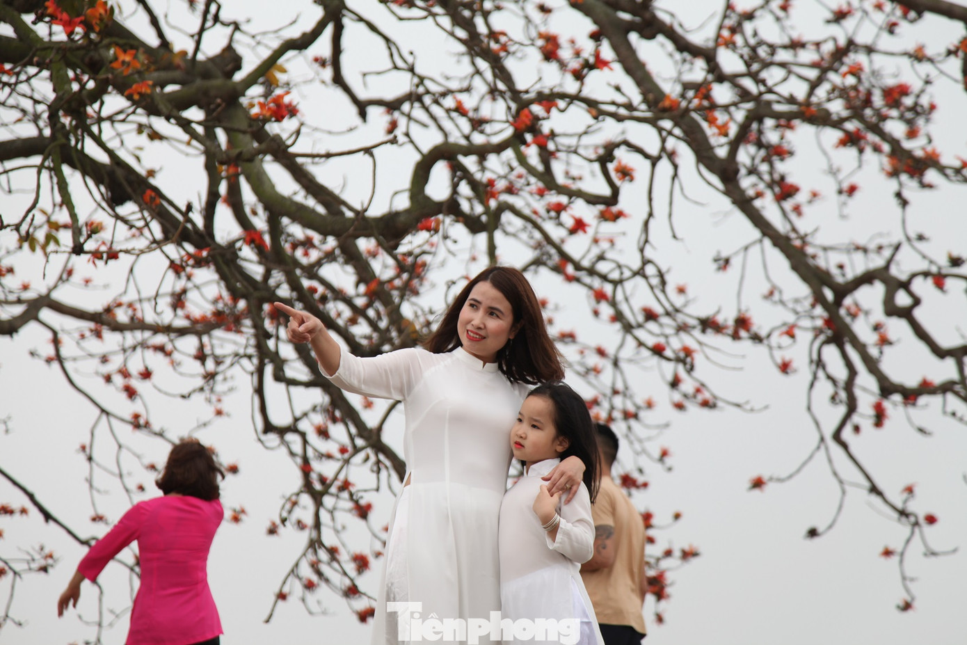 Dòng người tấp nập đổ về chiêm ngưỡng cây gạo cổ thụ ở Bắc Giang ảnh 7